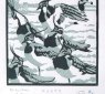 Ben_Woodhams-03-Mar-Maanedsfugle-Monthy.bird-Linoleum-tryk-print_small.jpg