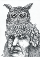 indian-owl-a5.png