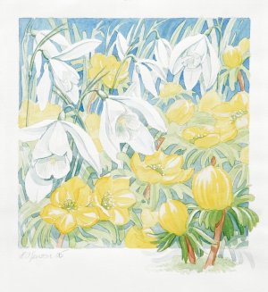 Helle V. Jensen - anemona & forårsblomster - akvarel.jpg