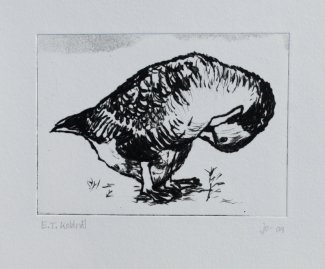 Josefine Olsen - Gæs (Goose) - tørnål radering - drypoint etching  - 14x11cm.jpg